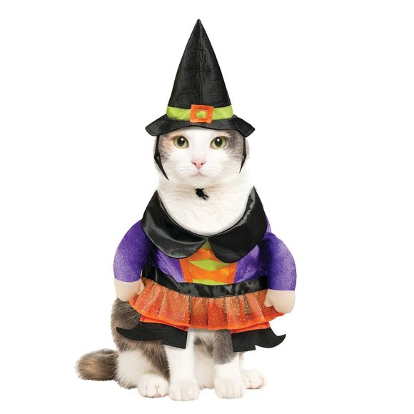 Way to Celebrate Halloween Witch Costume For - Picture 3 of 3